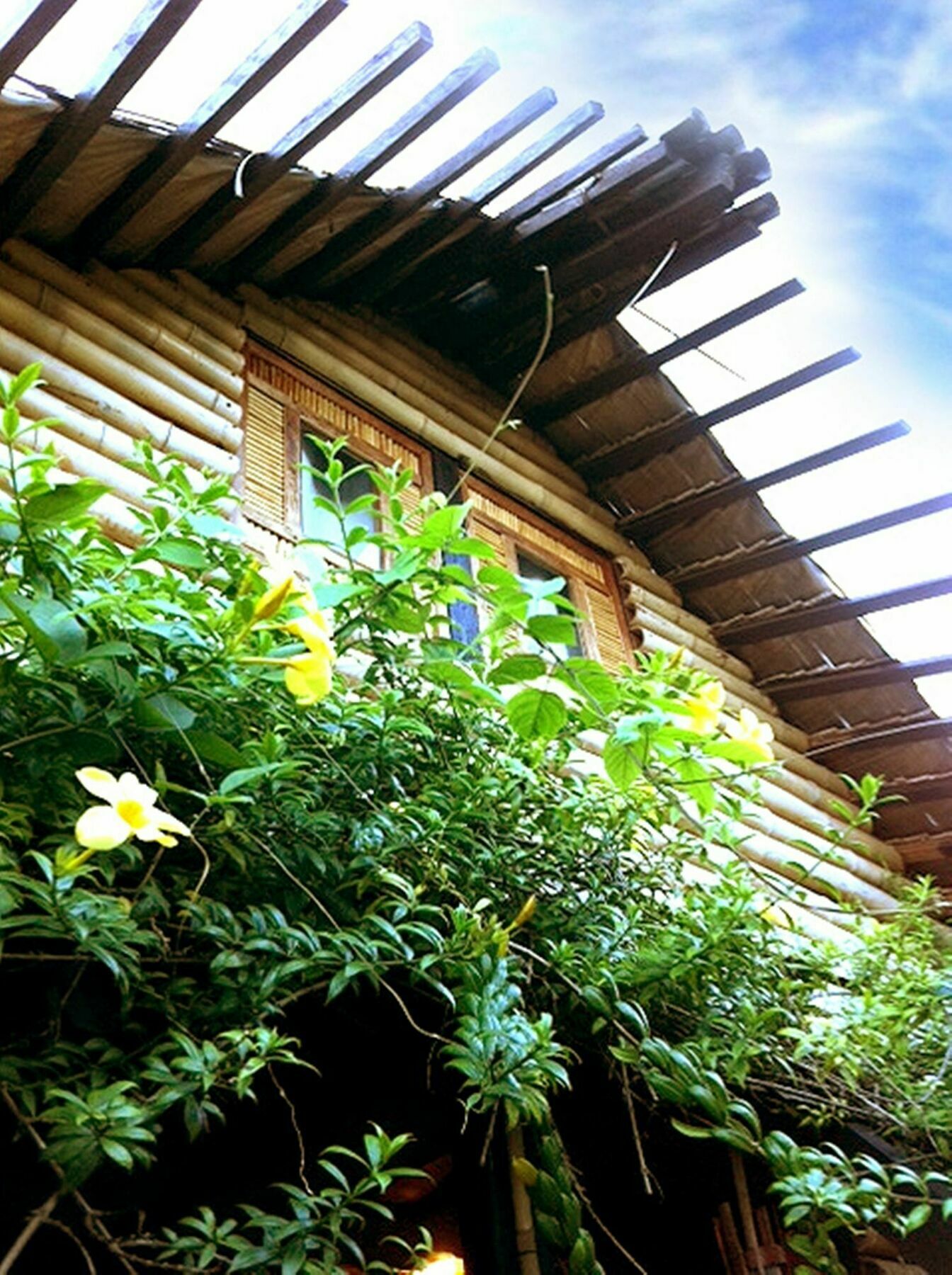 The Village House Puerto Princesa Buitenkant foto